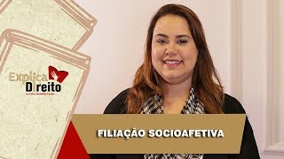 Explica Direito Filiação Socioafetiva  2019 [upl. by Ajdan277]