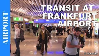 TRANSIT WALK AT FRANKFURT Airport FRA Terminal 1  Connection Flight Transfer Arriving amp Departing [upl. by Asilef]